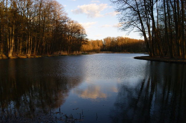 staw
