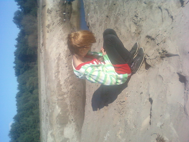 foch by;p 