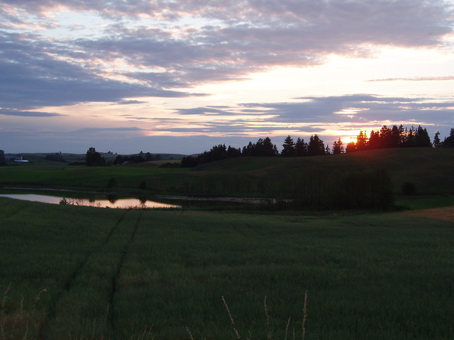 marzycielsko