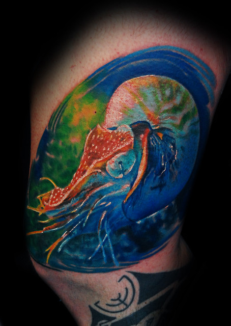 Nautilus... pozdro K.K.
