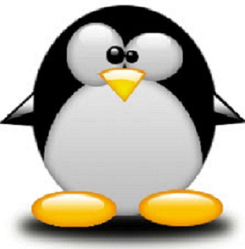 Pingwiiin .