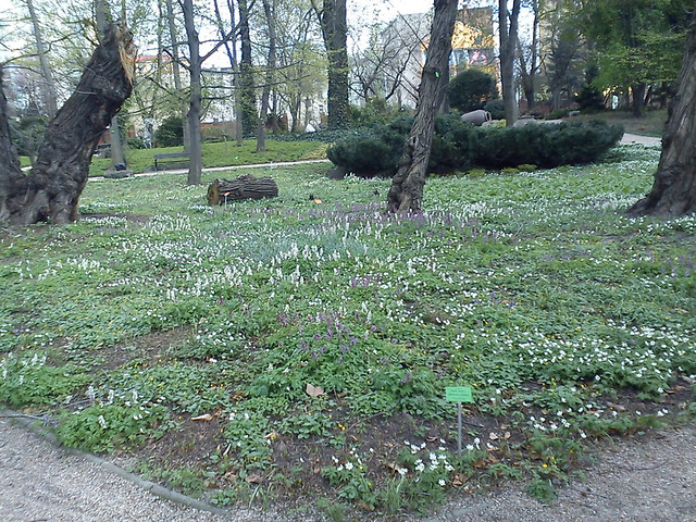 Jest mi dziwnie.
