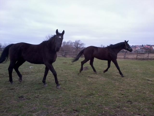 ` Maksima i Sparta ;P