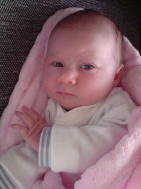 Crcia ;**