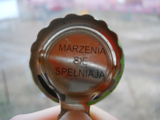 Wpis calytenzabaawnyszajs