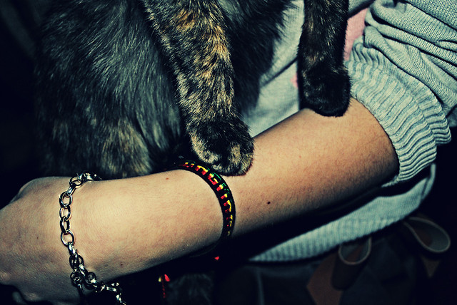 branza 2 + Fejsia.. ^^