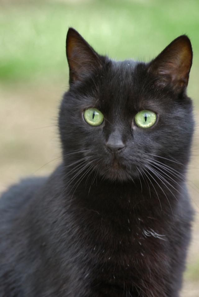 Fiona