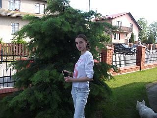 dominika wiertel