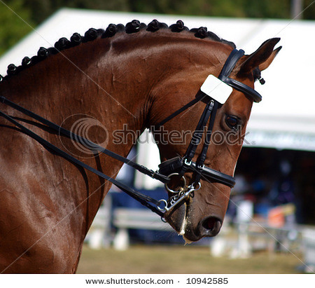 dRESSAGE