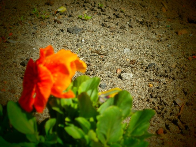 only me. only you. 