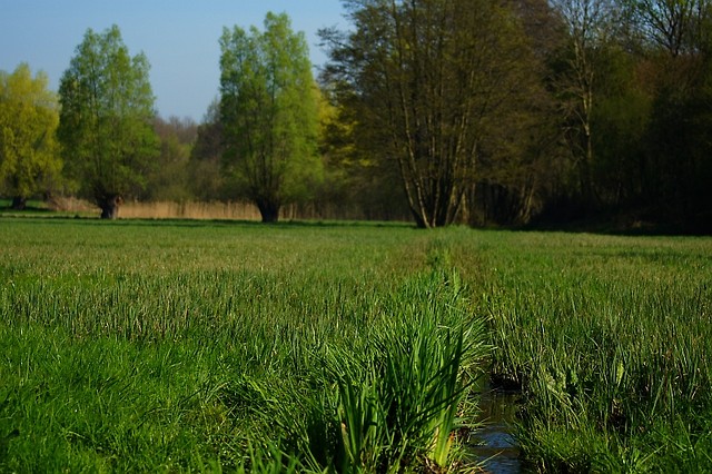 Okolice Leszna