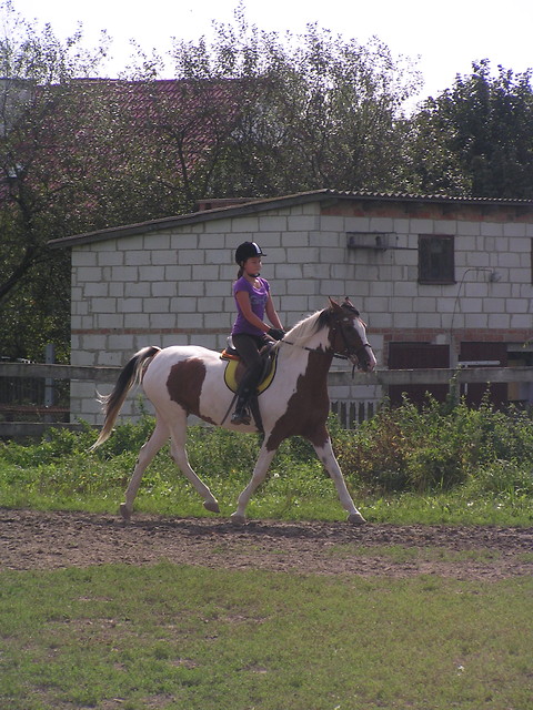 Wpis natihorses