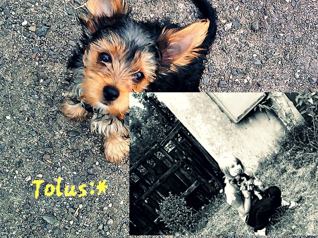 Tolek;D