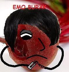Siema