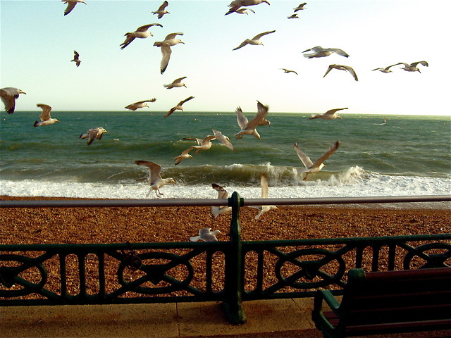 brighton