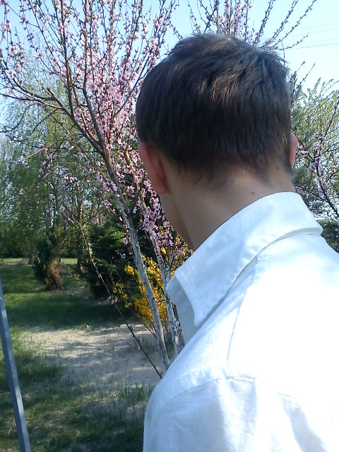Wpis marcepanowymigdal