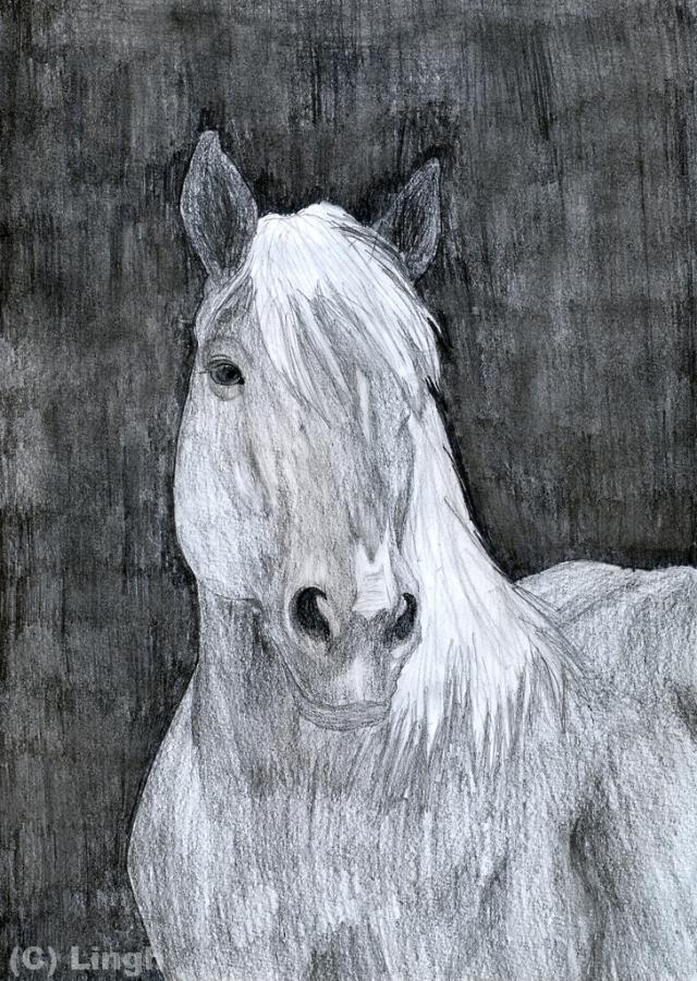 1224.