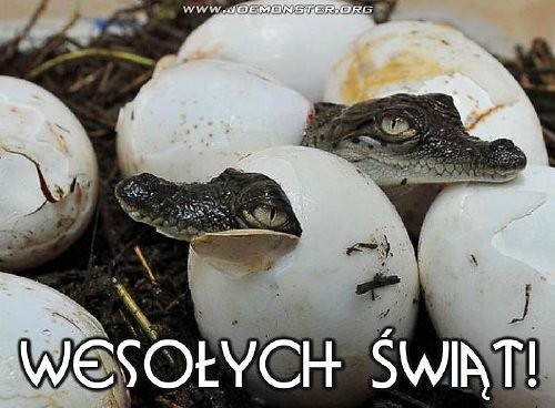 Wesoych wit =)