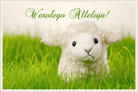 Wpis jula90