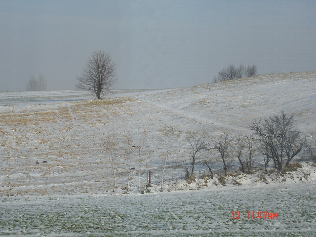 Widok zimowy