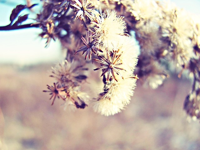 wiosenne ^ ^
