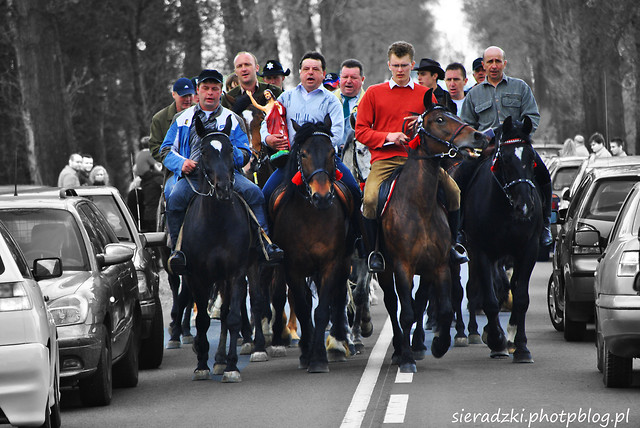 Sternalice 2011