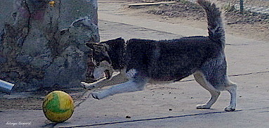 Wpis tofikibatalia