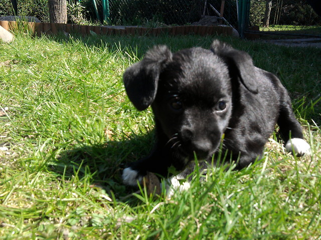 Lucky . ; )