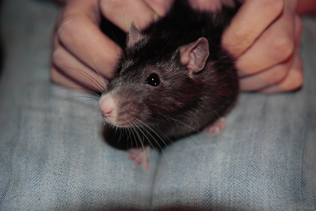 Arkadiusz :)