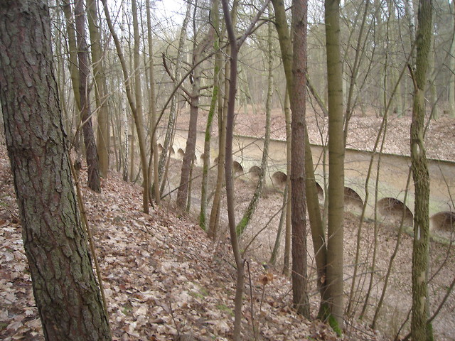 komrka