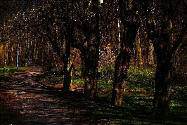 Park