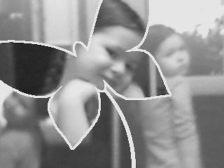 Wicia 