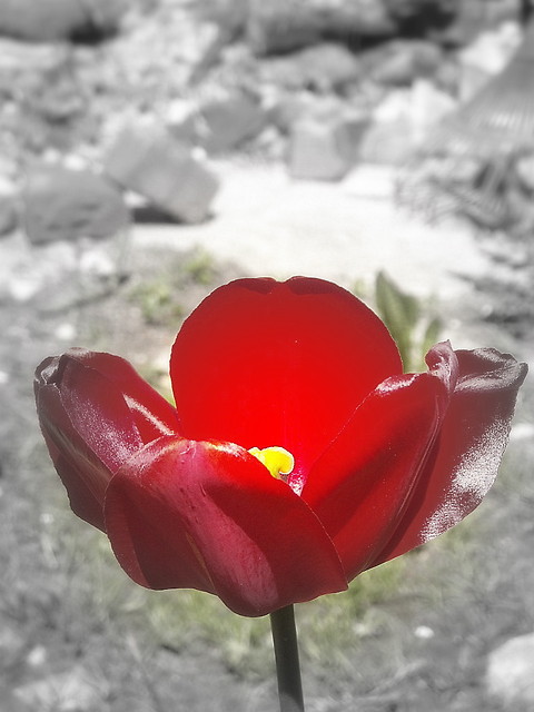 28.