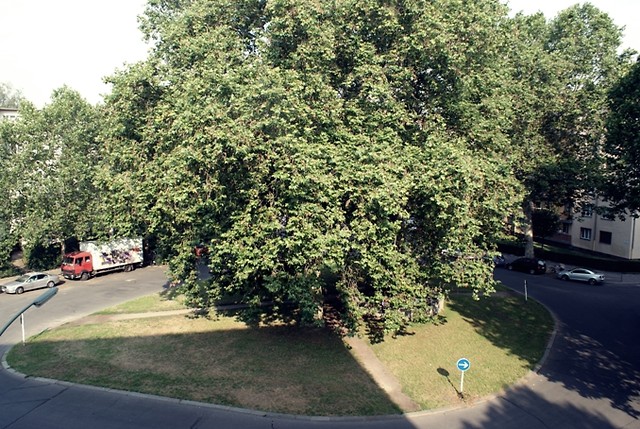 N.