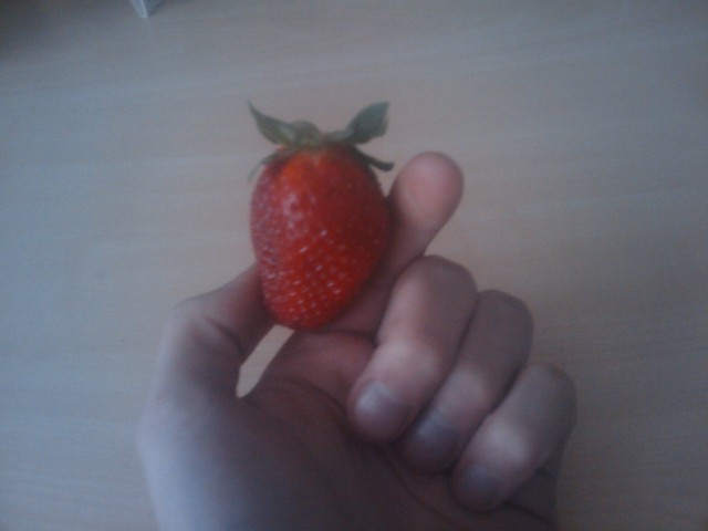 troooskaffka :3