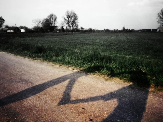 Mojee ;D