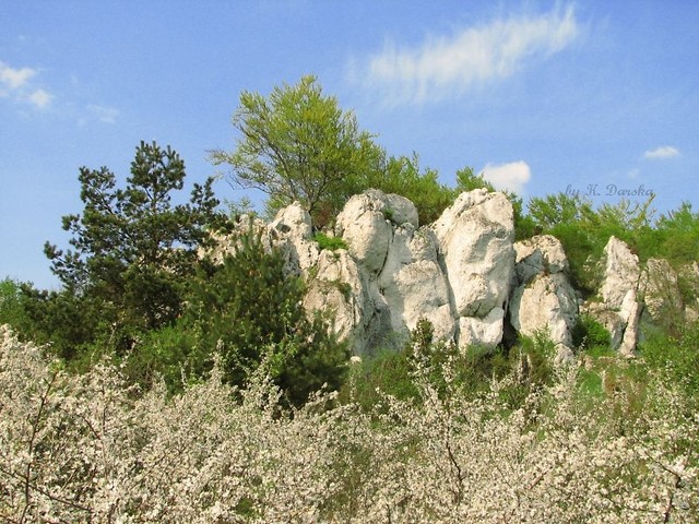 skay rzdkowickie