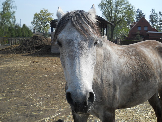 Moje Skarbiee.;*