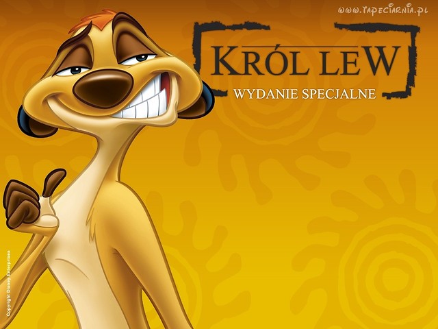 TIMON!
