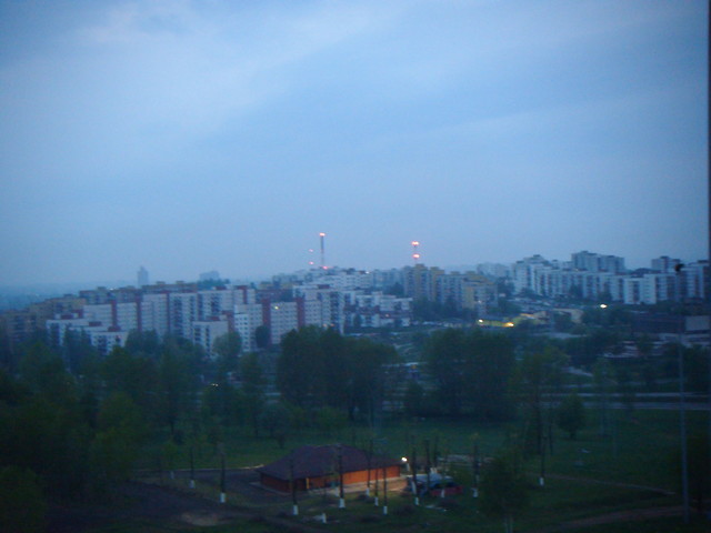 Sosnowiec o wsicie