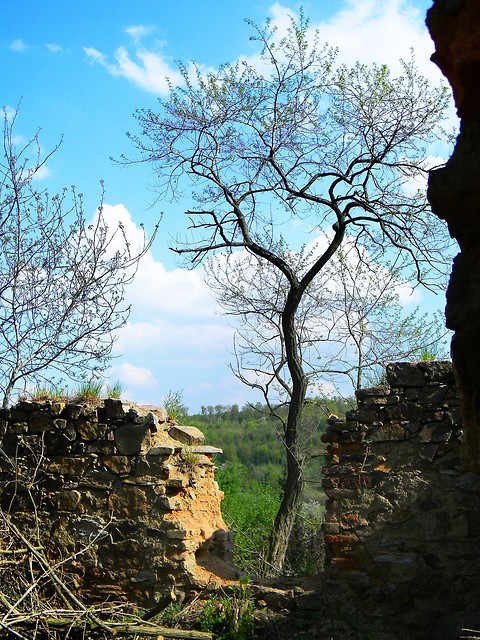 Wpis anetka1602
