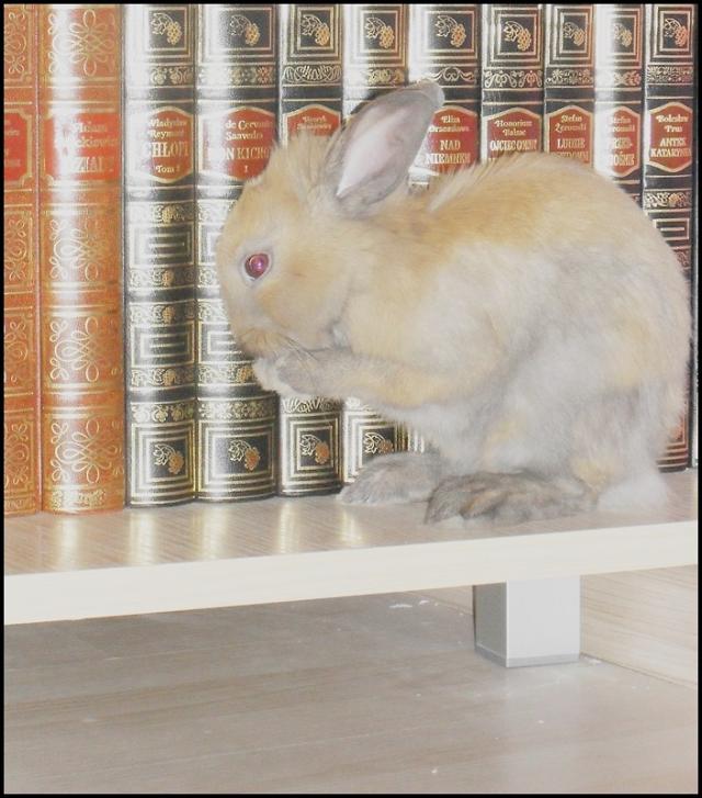 :)