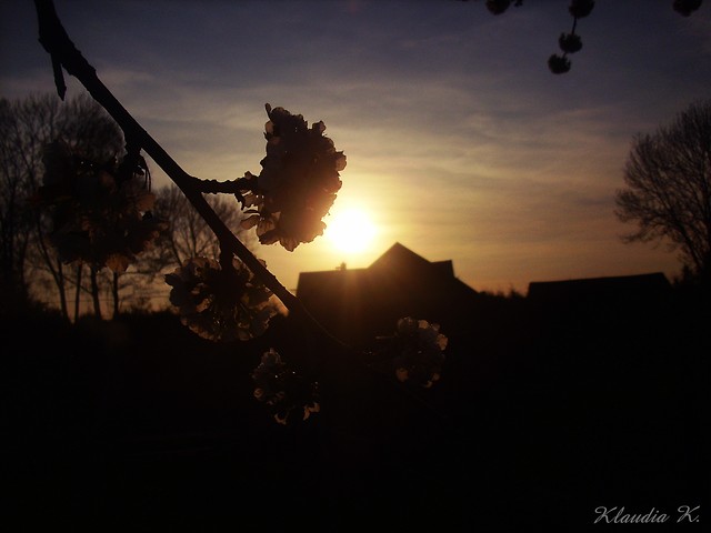 Czerenia wieczorow por ;D