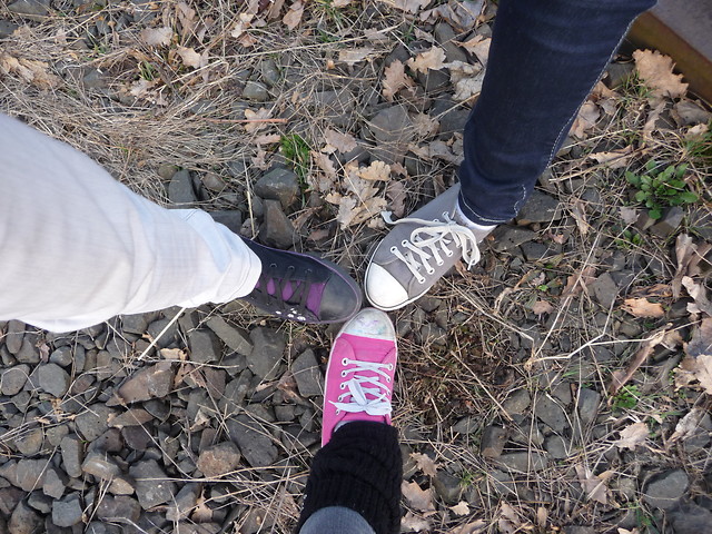 Friends 