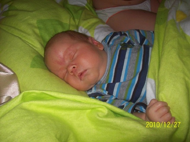 dominik