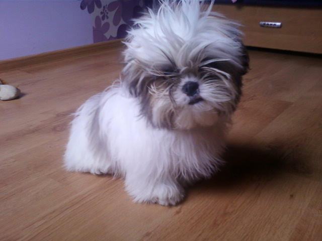 Tofi po kpieli ♥