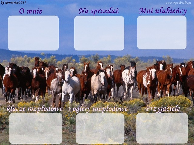Wpis gwiezdnyogier