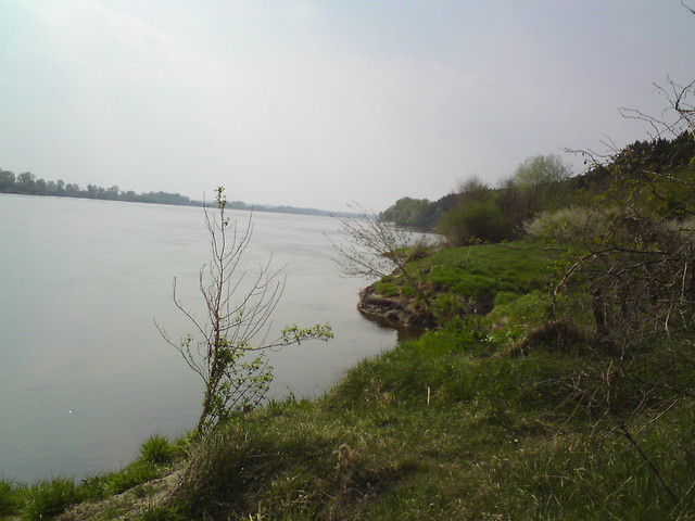 Wisla