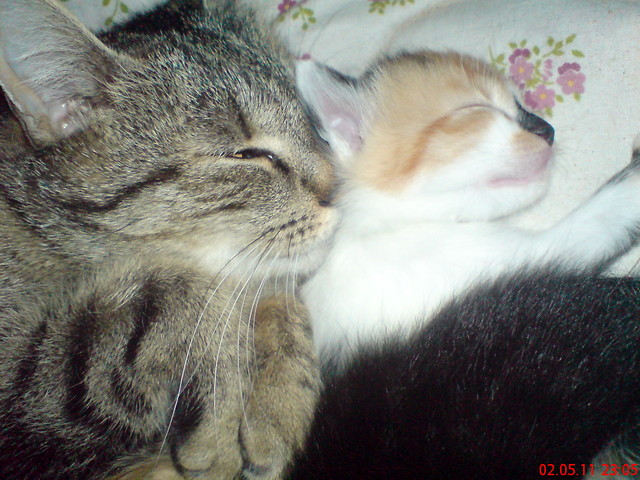 Lady i ruda :*
