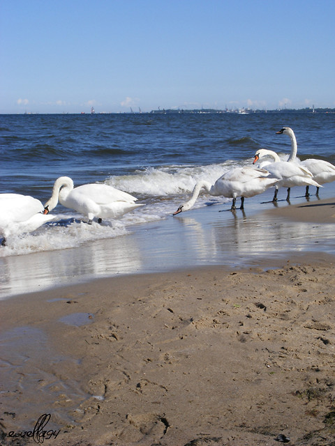 Sopot :)